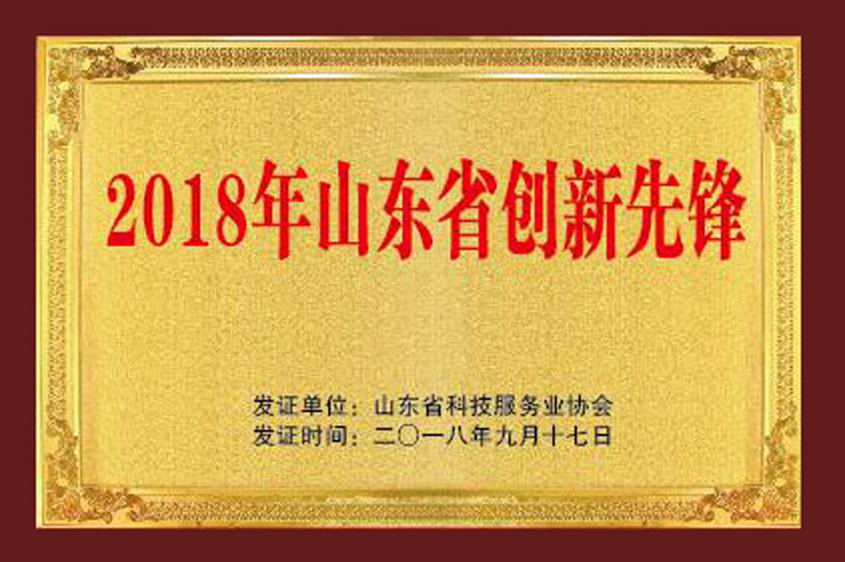 山东省2018年创新先锋.jpg